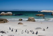South Africa Honeymoons